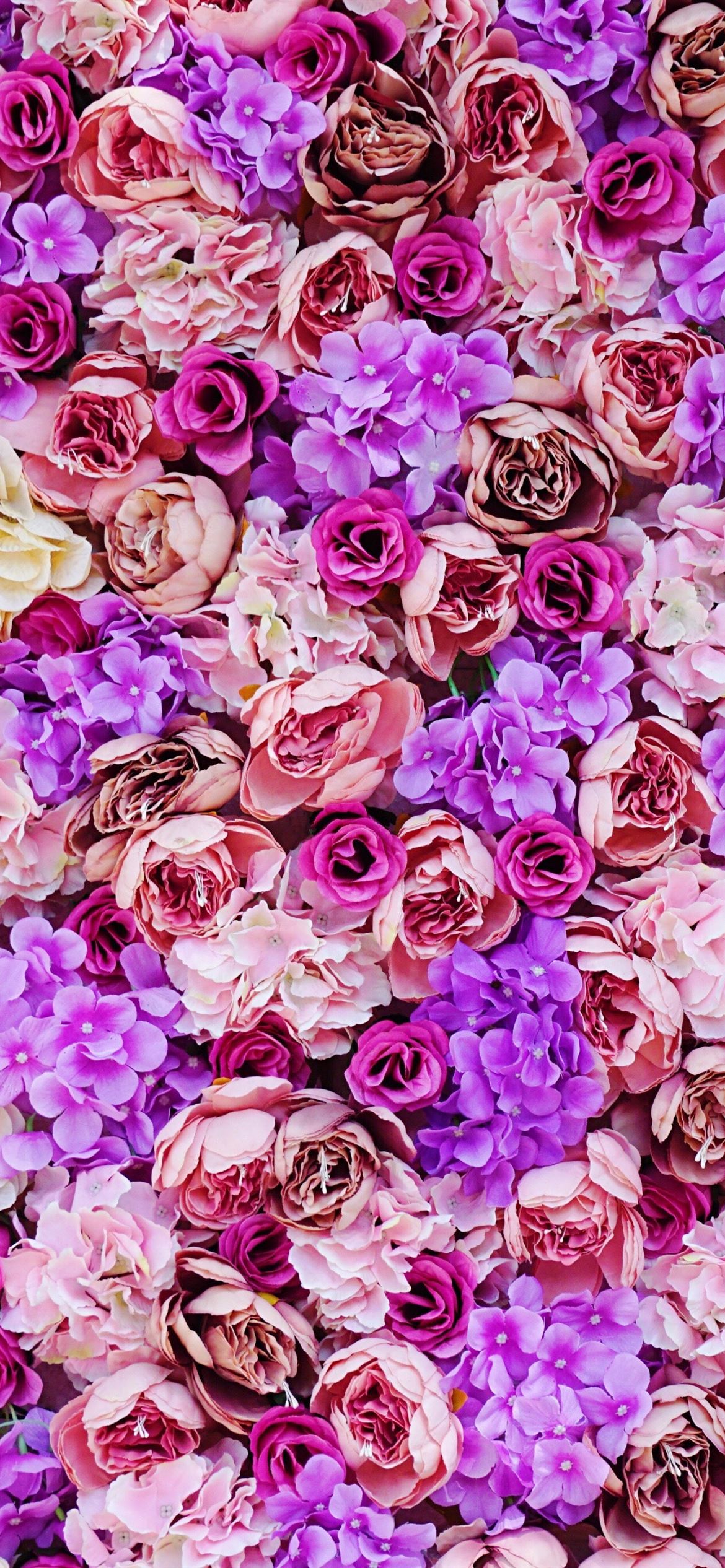 Cute Pink Purple Wallpapers