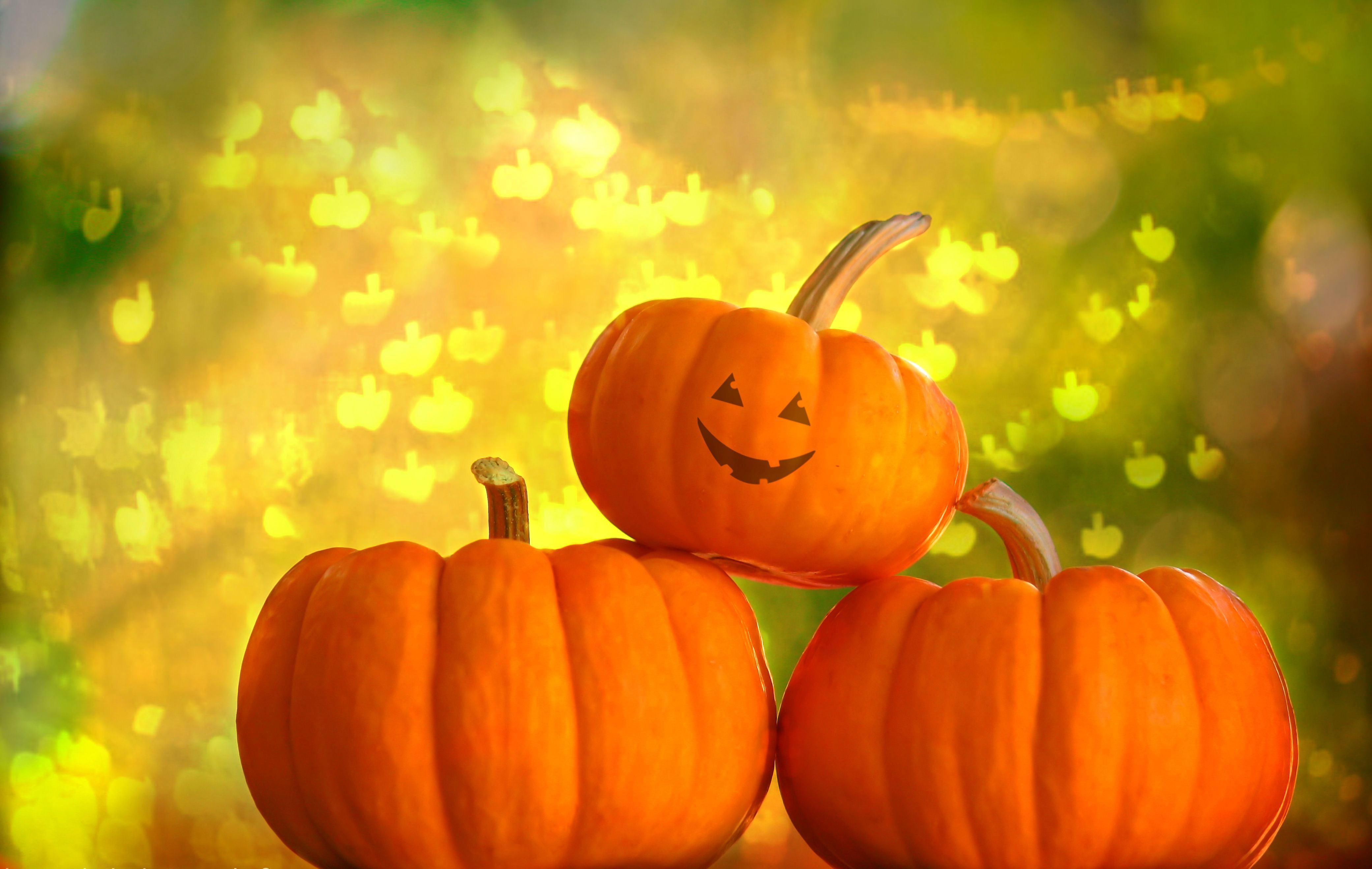 Cute Pumpkin Desktop Wallpapers