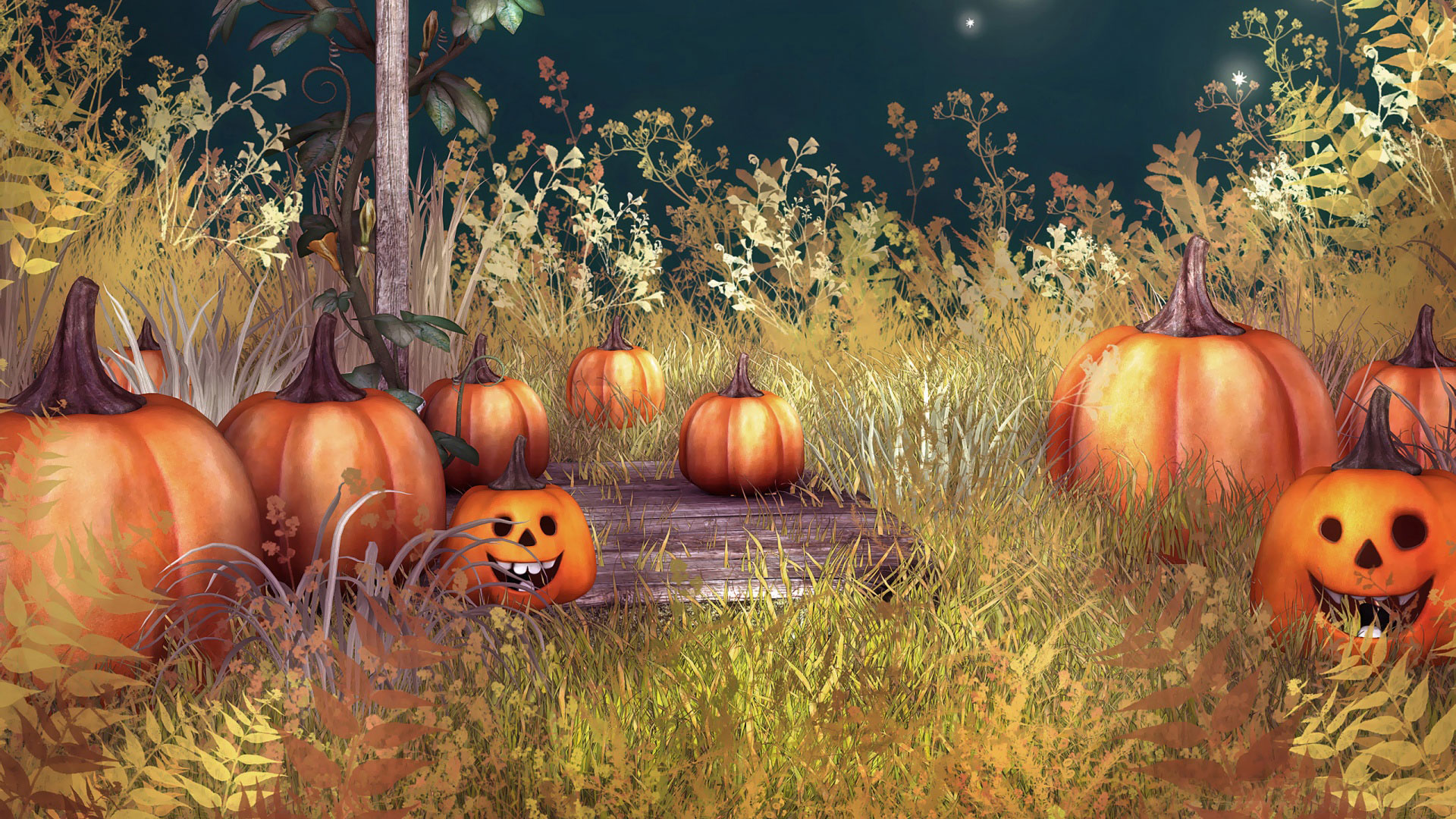 Cute Pumpkin Desktop Wallpapers