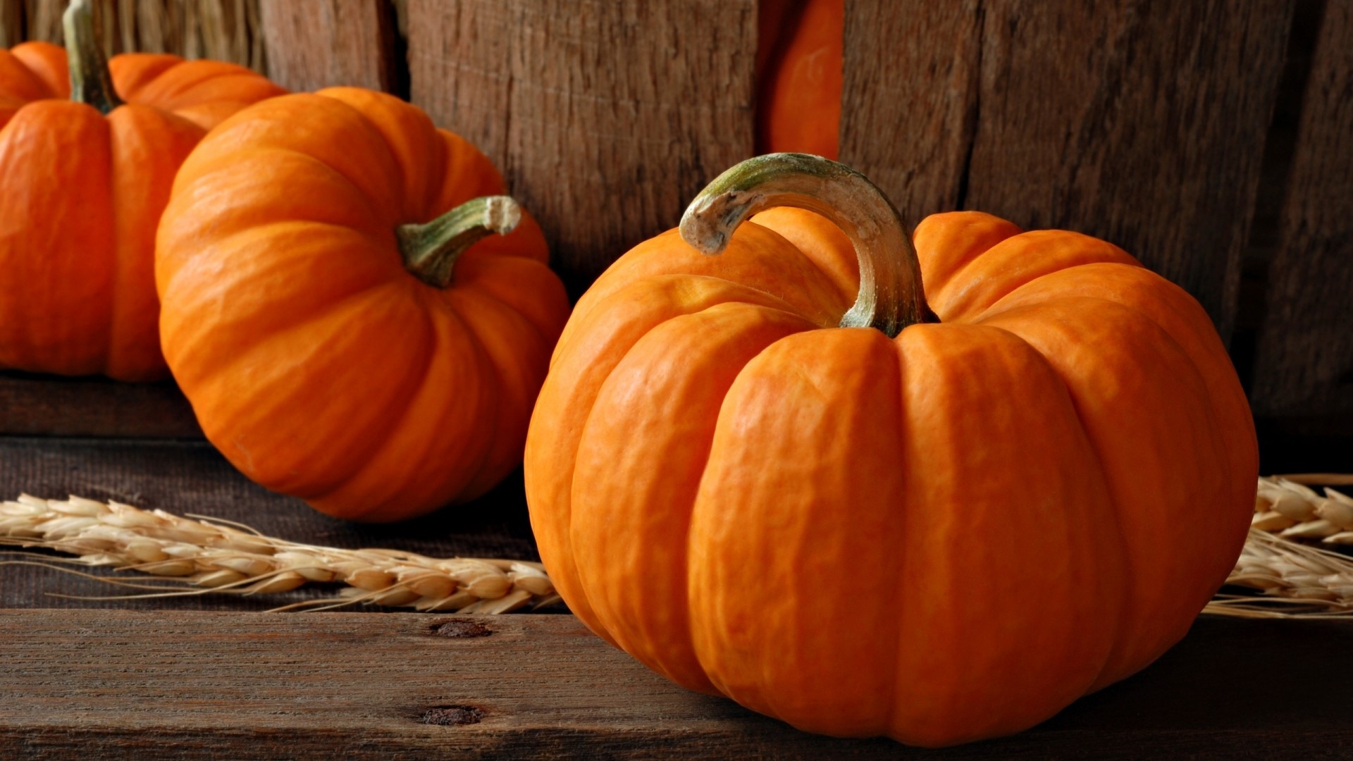 Cute Pumpkin Desktop Wallpapers