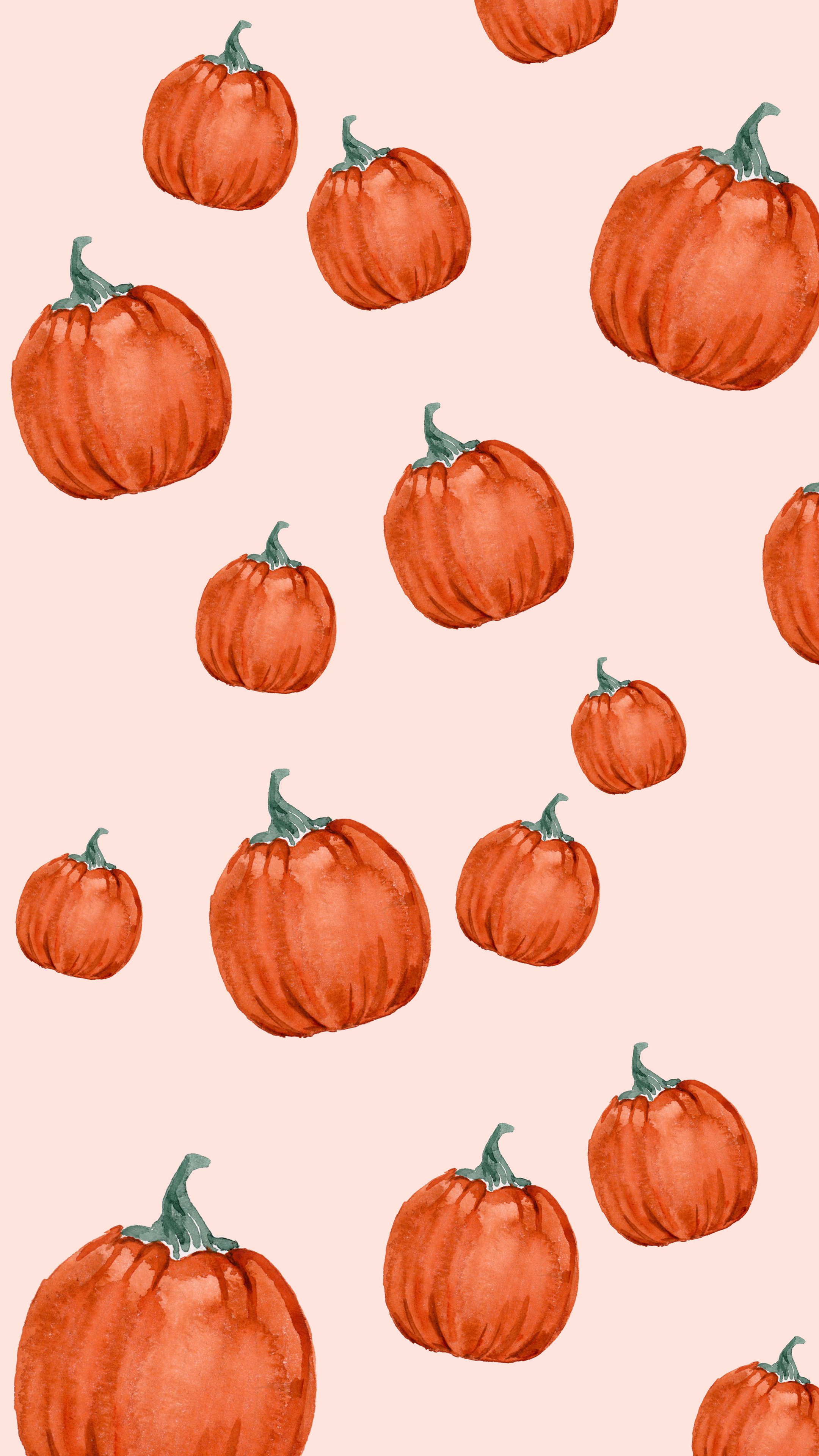 Cute Pumpkin Wallpapers