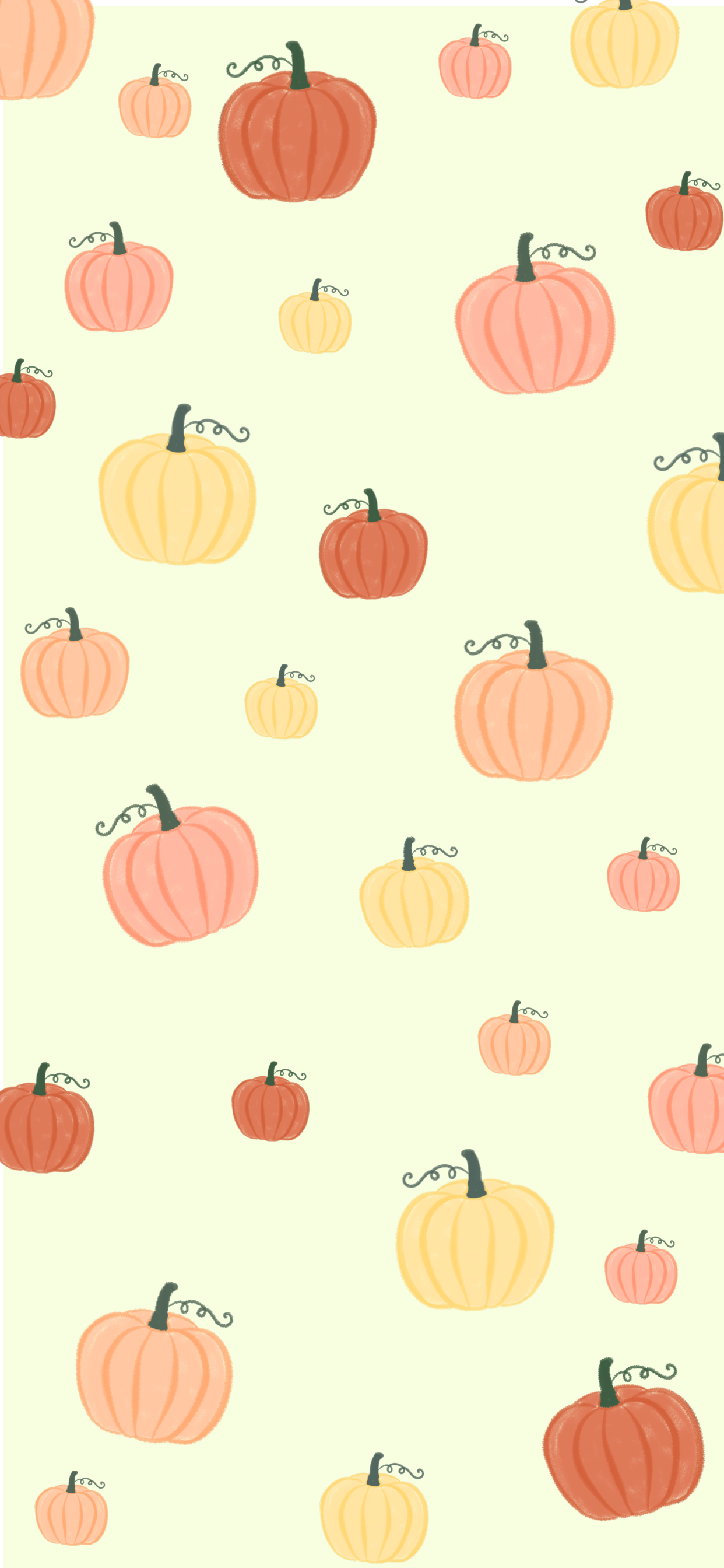 Cute Pumpkin Wallpapers