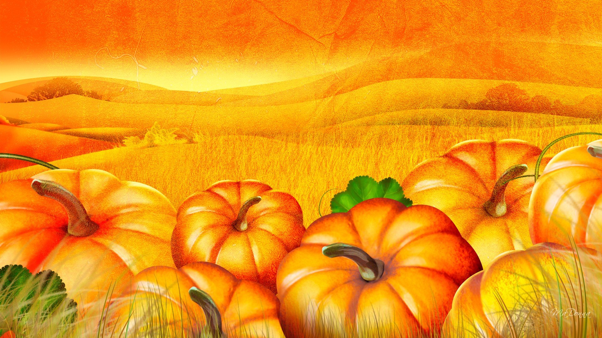 Cute Pumpkin Wallpapers Wallpapers