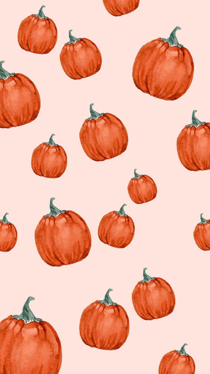 Cute Pumpkins Wallpapers Wallpapers