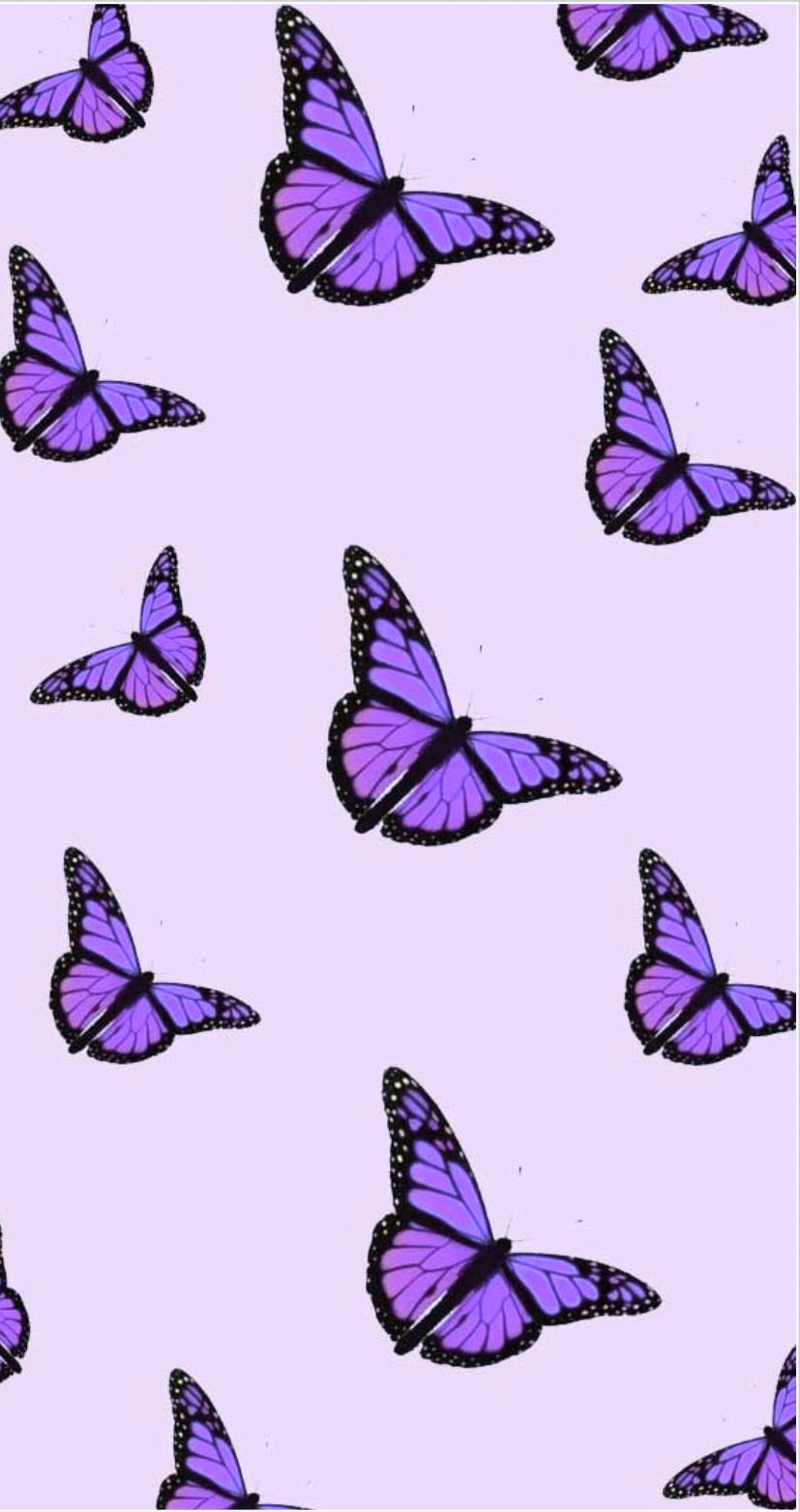 Cute Purple Butterfly Wallpapers