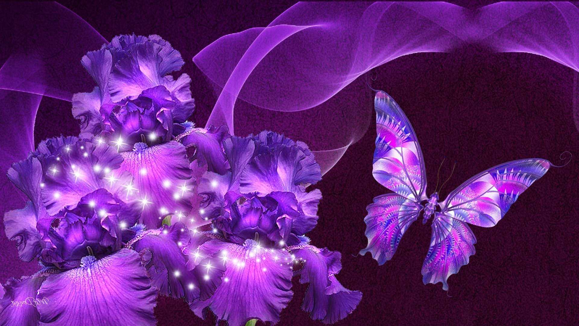 Cute Purple Butterfly Wallpapers