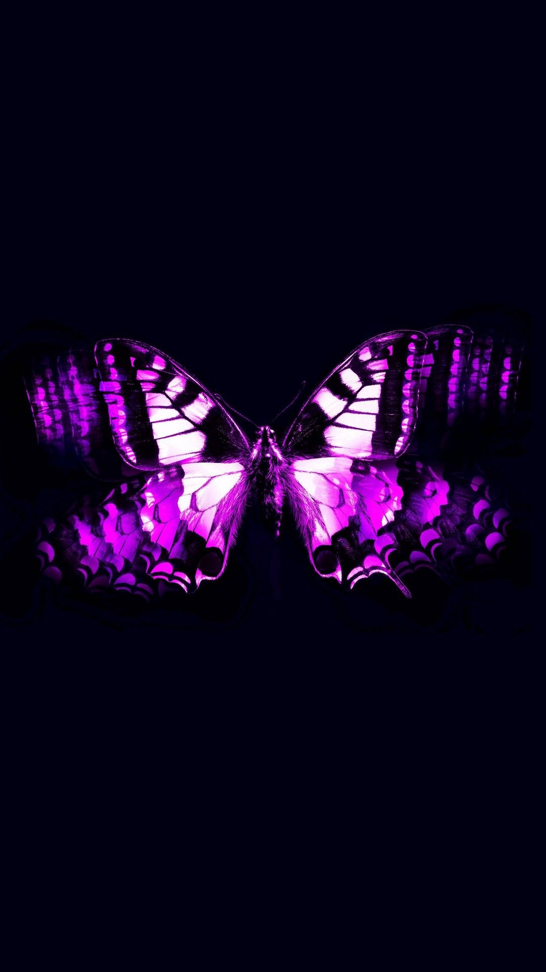 Cute Purple Butterfly Wallpapers