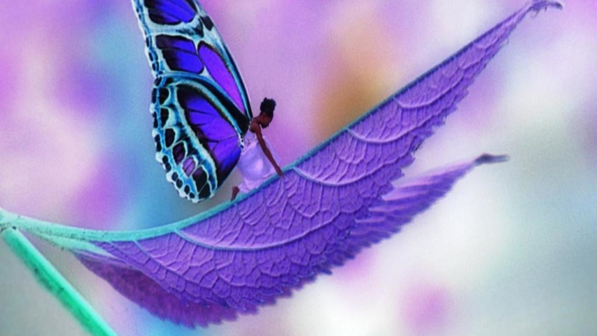 Cute Purple Butterfly Wallpapers