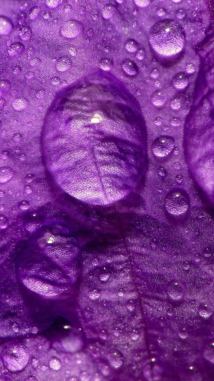 Cute Purple Wallpapers For Iphone Wallpapers