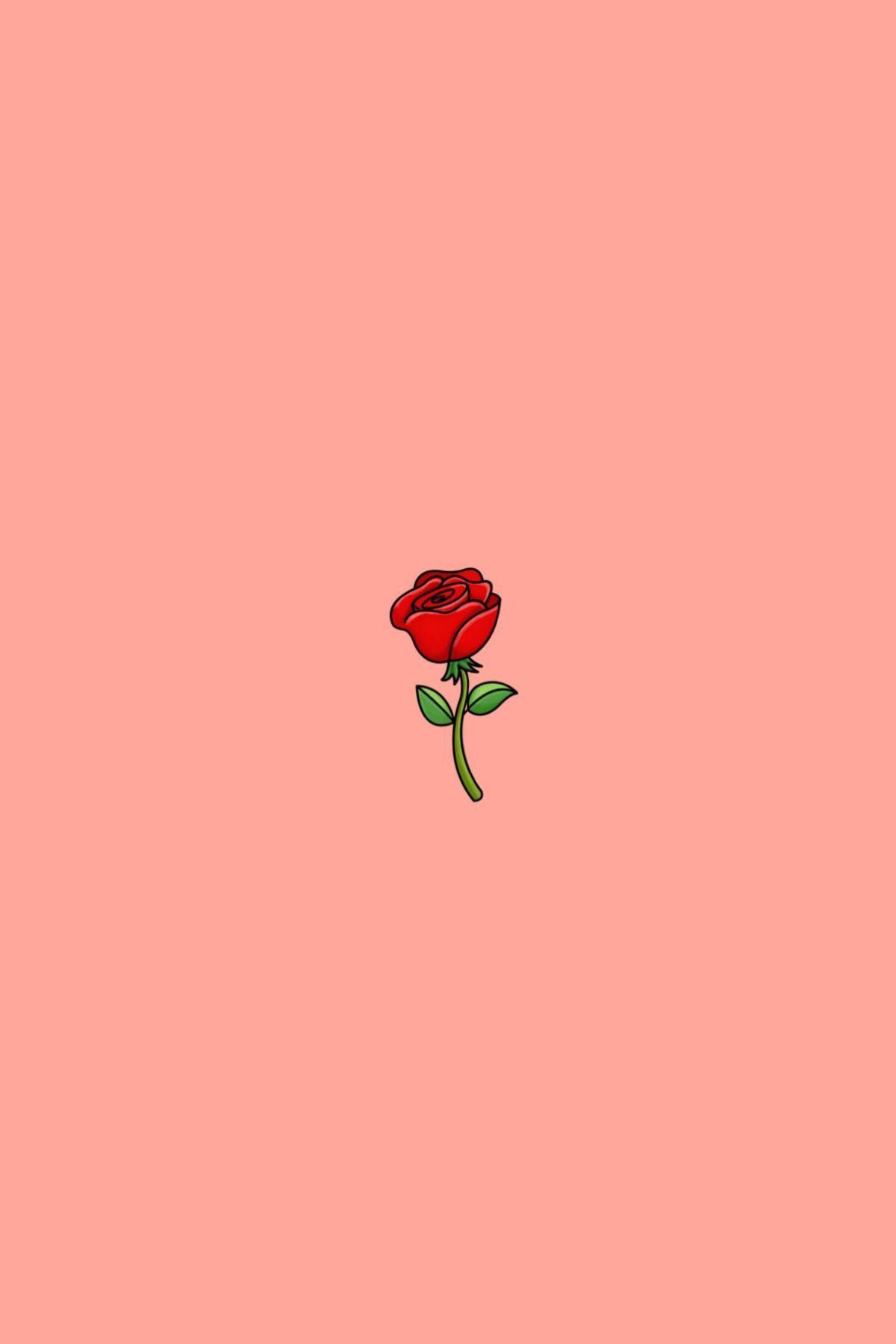 Cute Rose Aesthetic Wallpapers Wallpapers