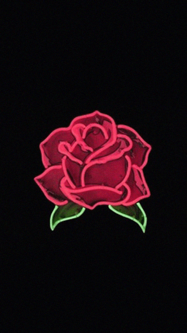 Cute Rose Aesthetic Wallpapers Wallpapers