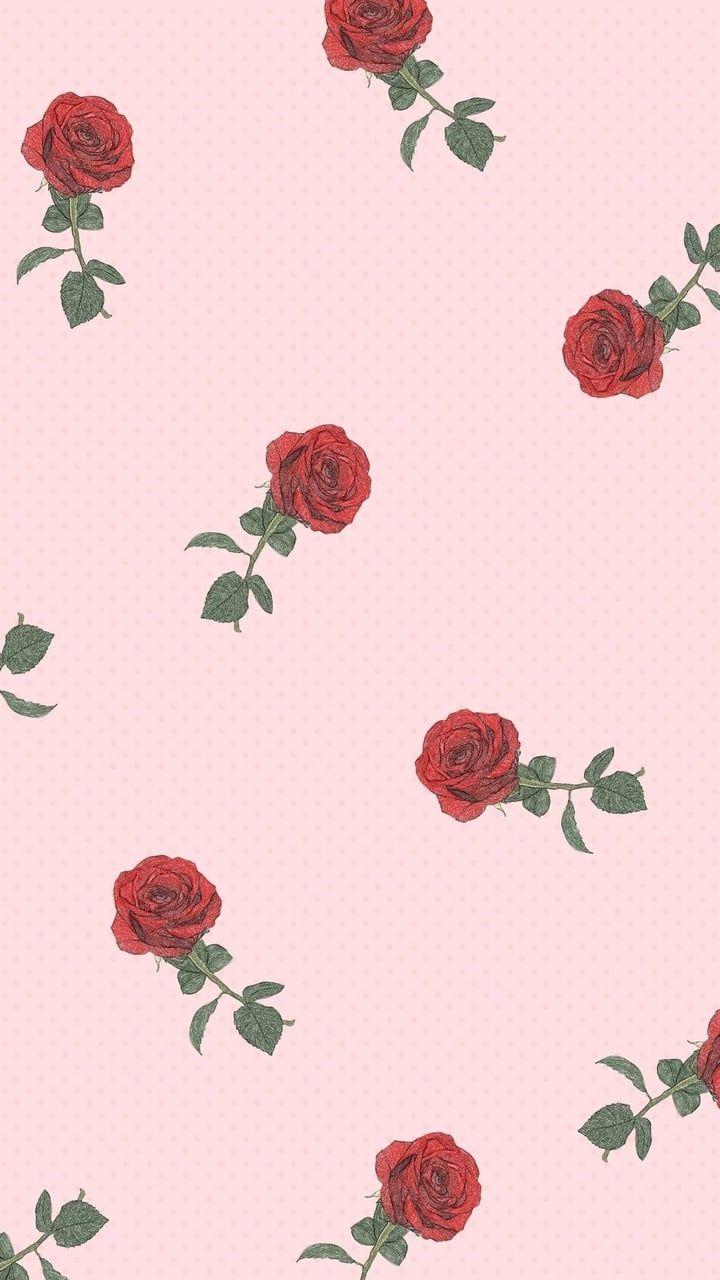 Cute Rose Aesthetic Wallpapers Wallpapers