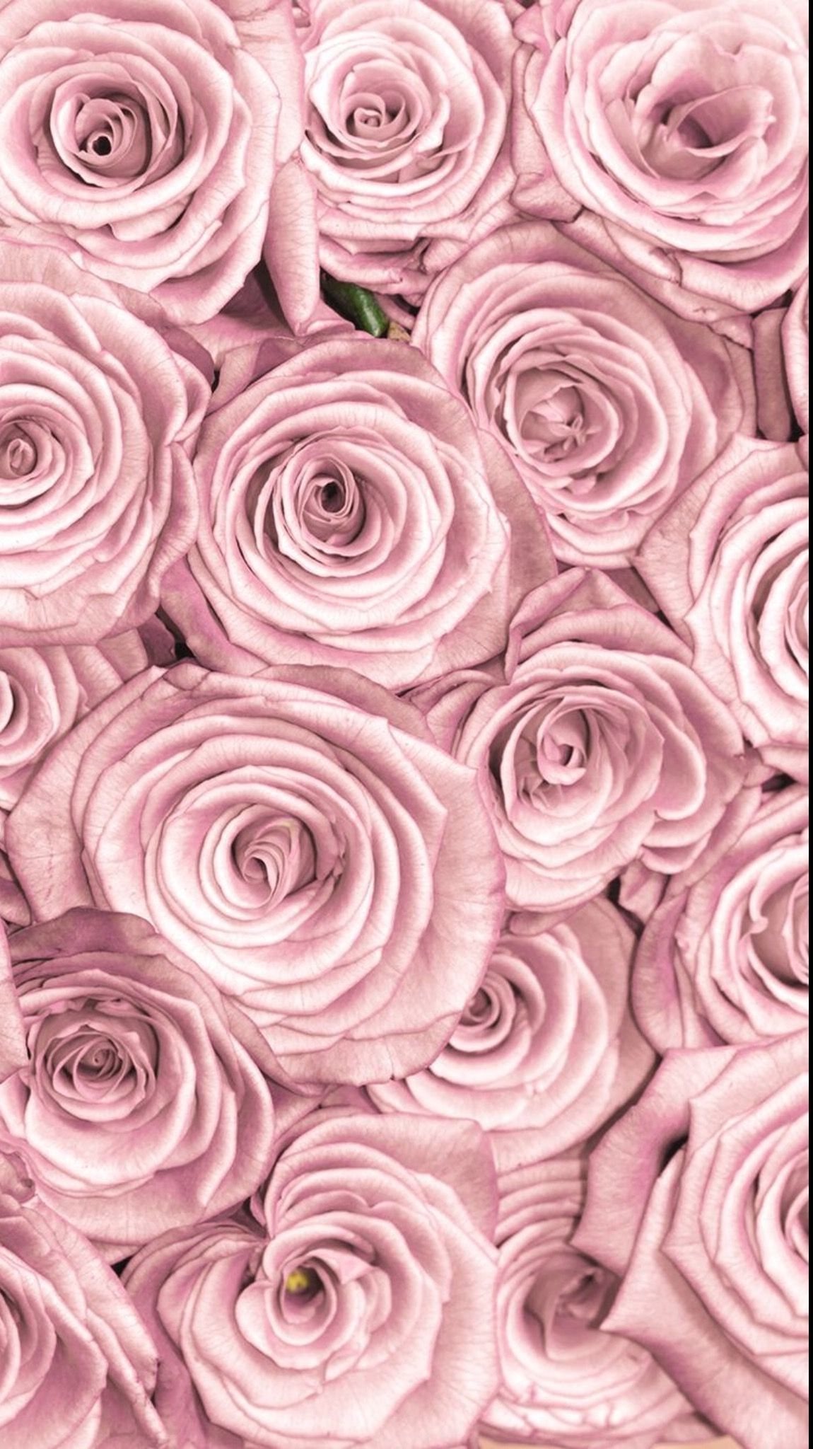 Cute Rose Gold Wallpapers Wallpapers