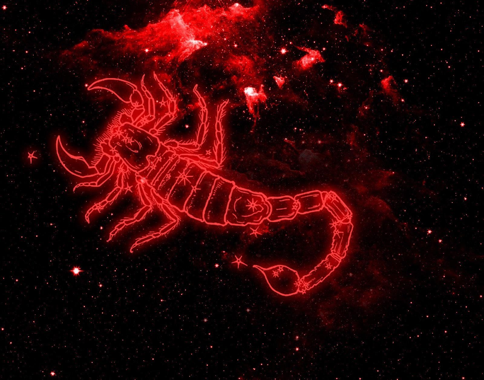 Cute Scorpio Wallpapers Wallpapers