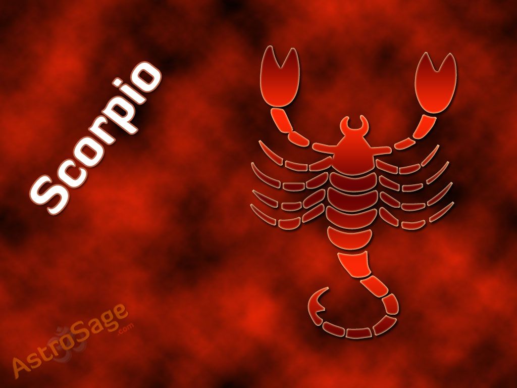 Cute Scorpio Wallpapers Wallpapers