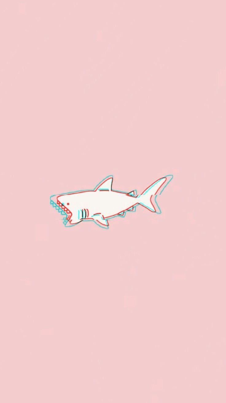 Cute Shark Wallpapers