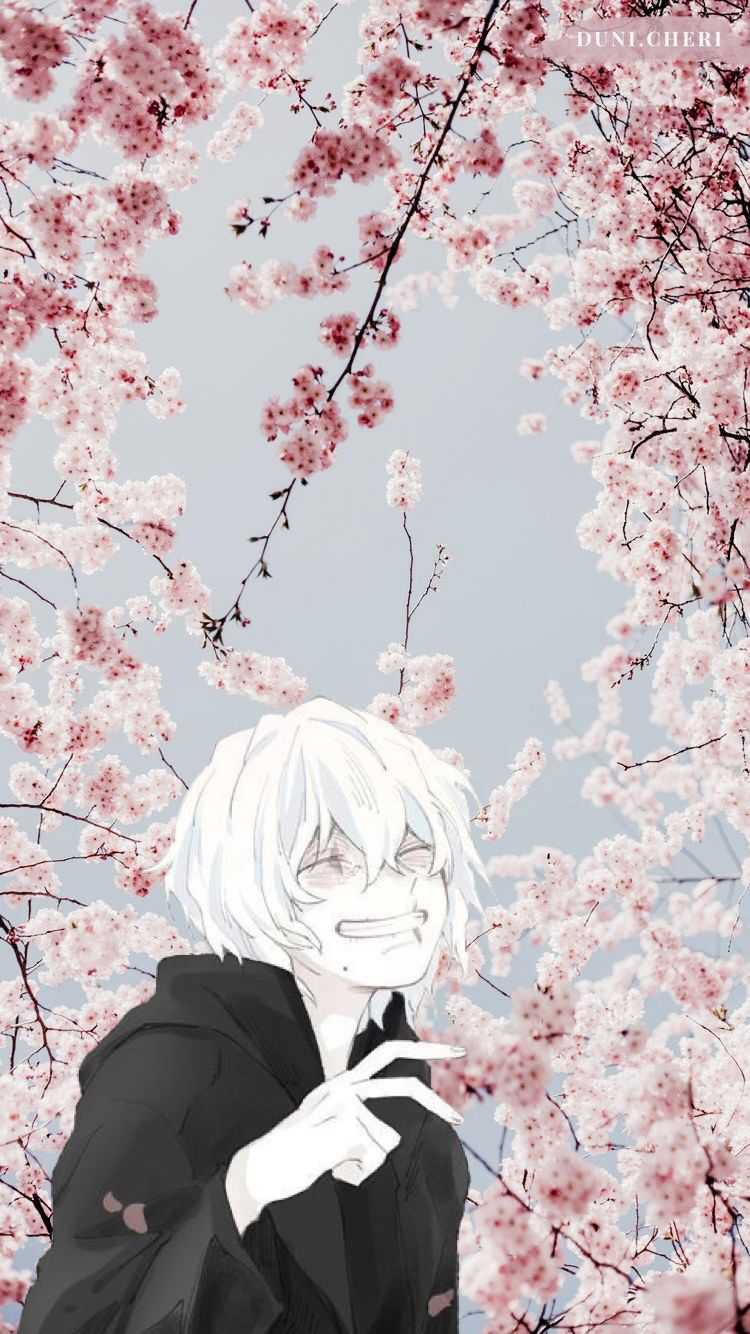 Cute Shigaraki Wallpapers