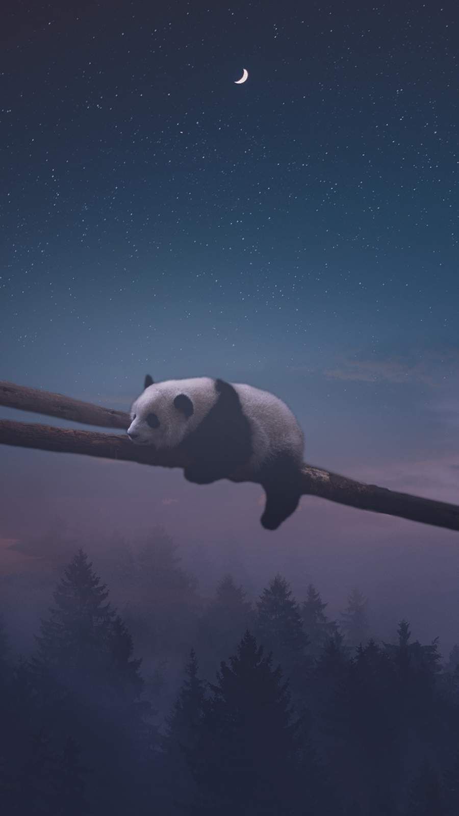 Cute Sleeping Panda Wallpapers