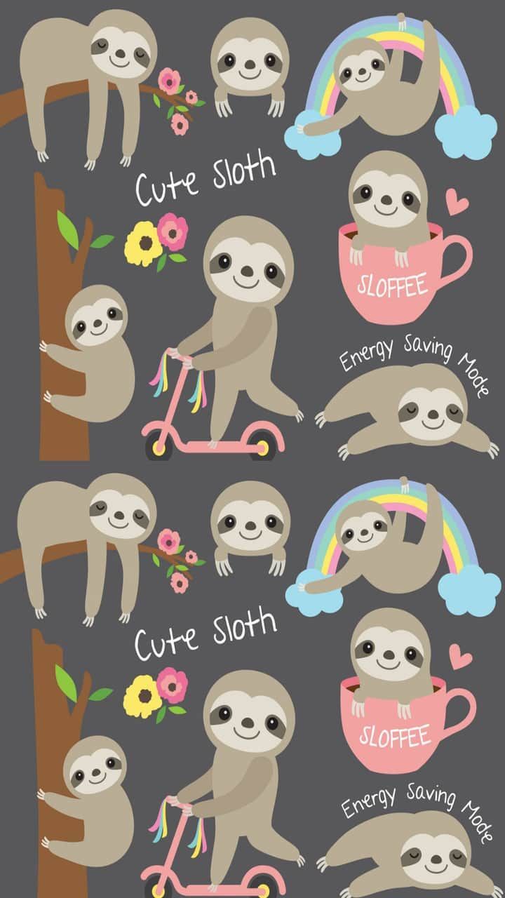 Cute Sloth Wallpapers