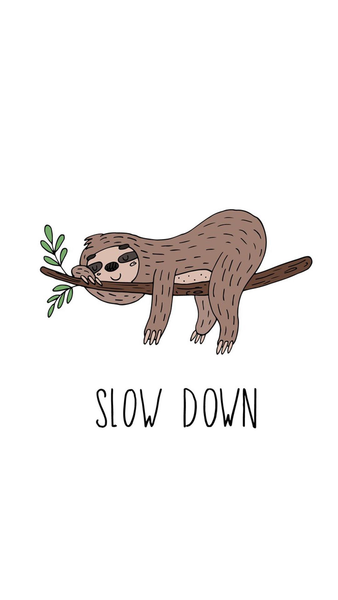 Cute Sloth Wallpapers