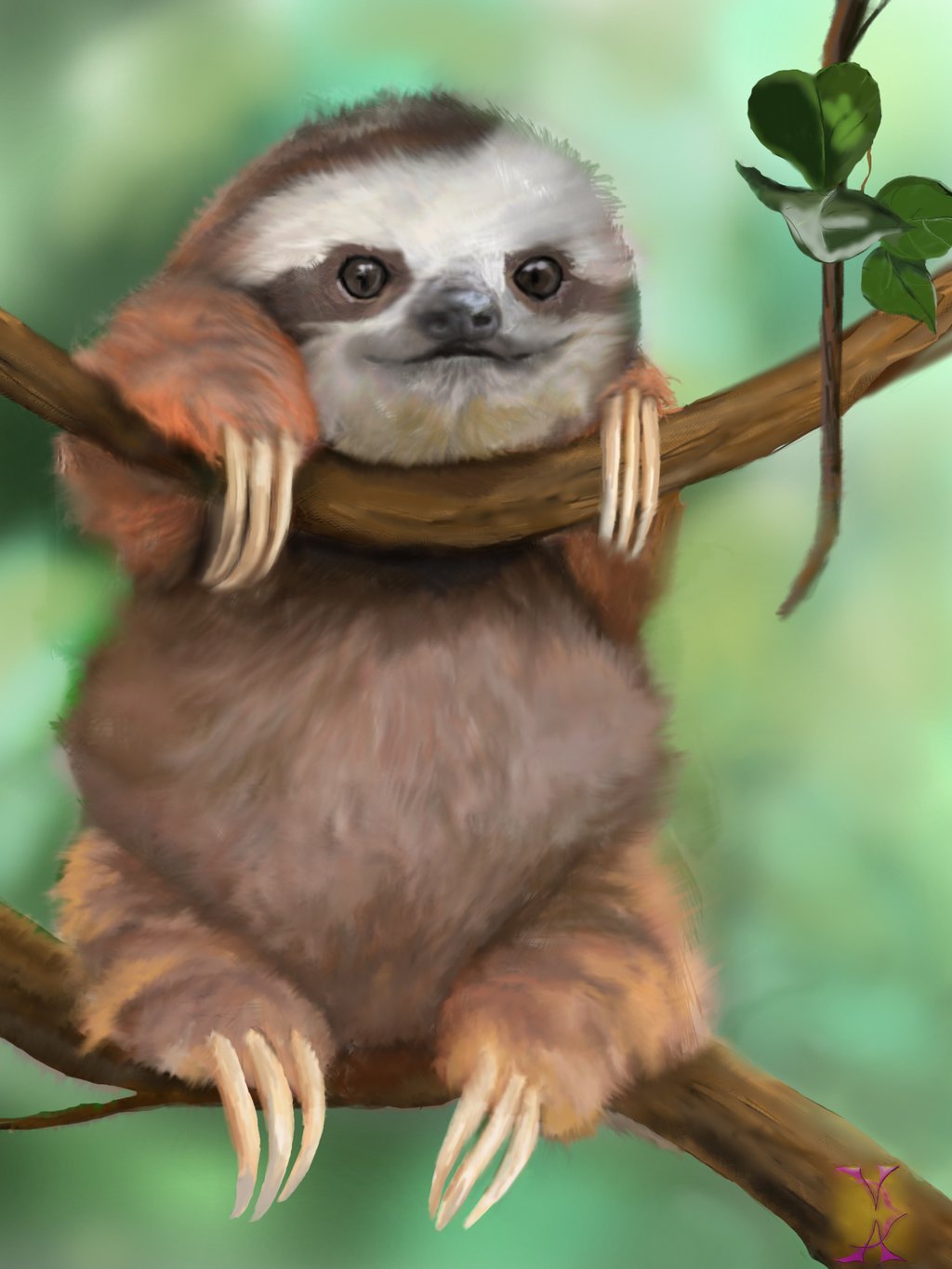 Cute Sloth Wallpapers