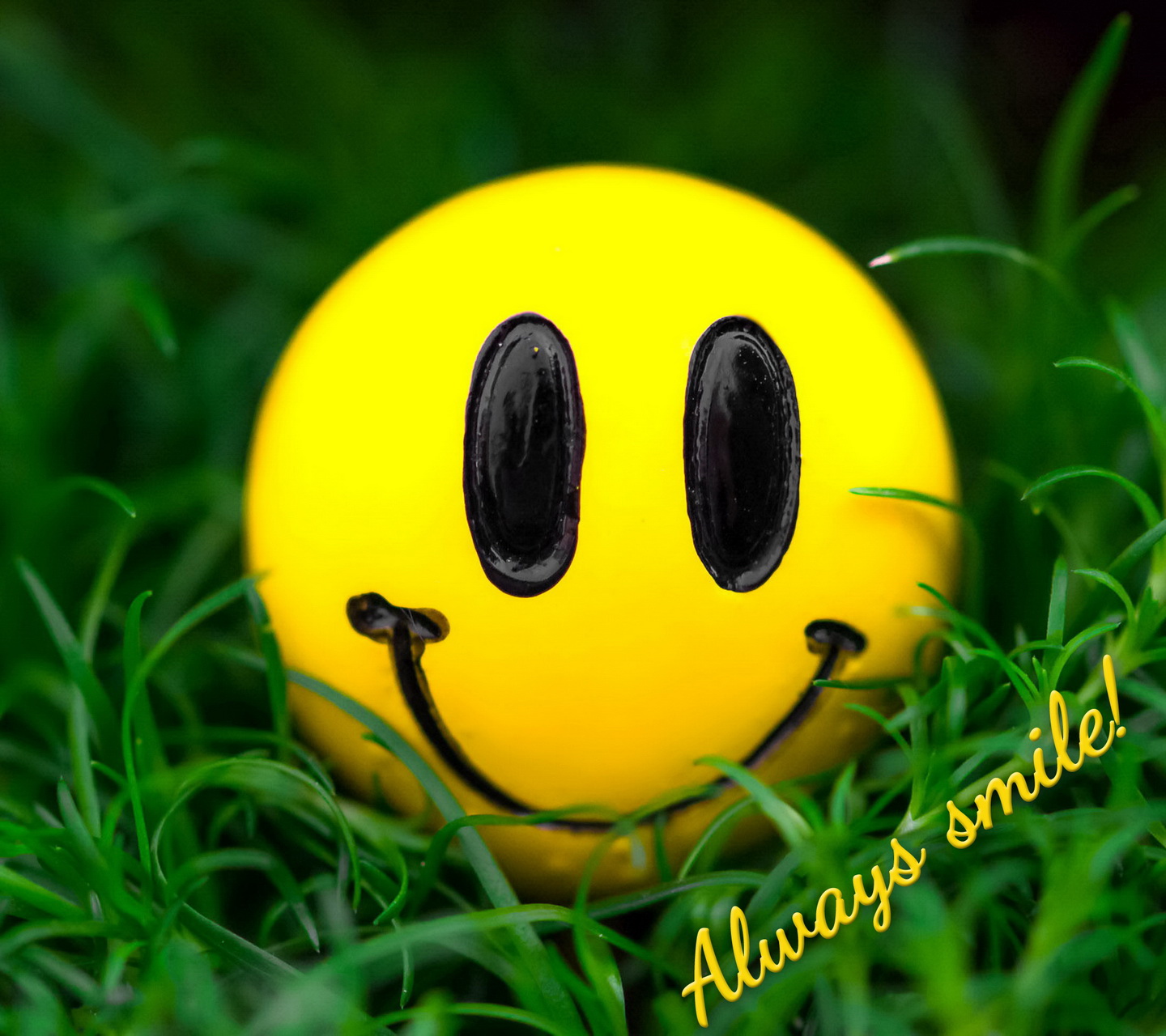 Cute Smile Wallpapers Wallpapers