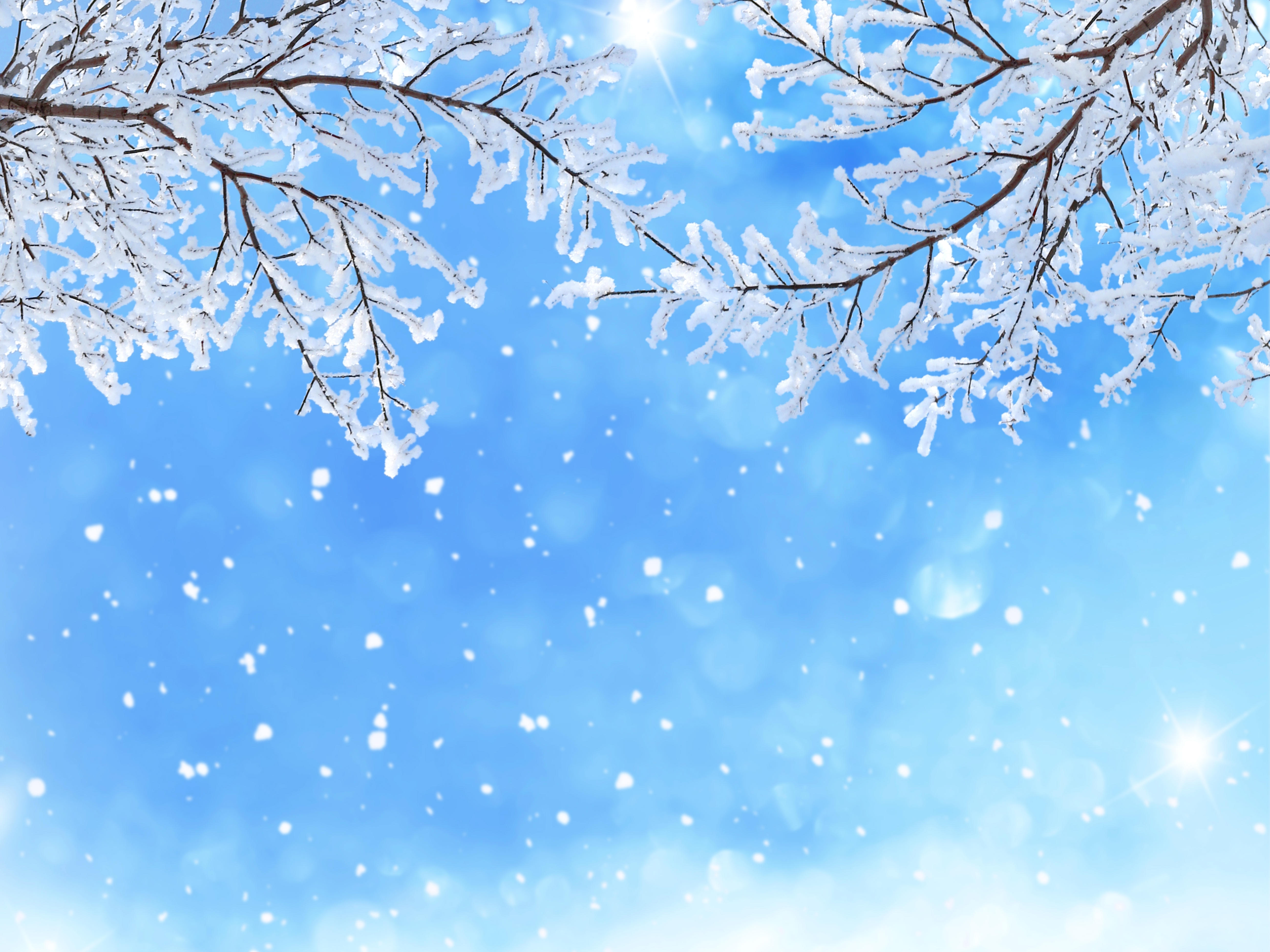 Cute Snow Wallpapers