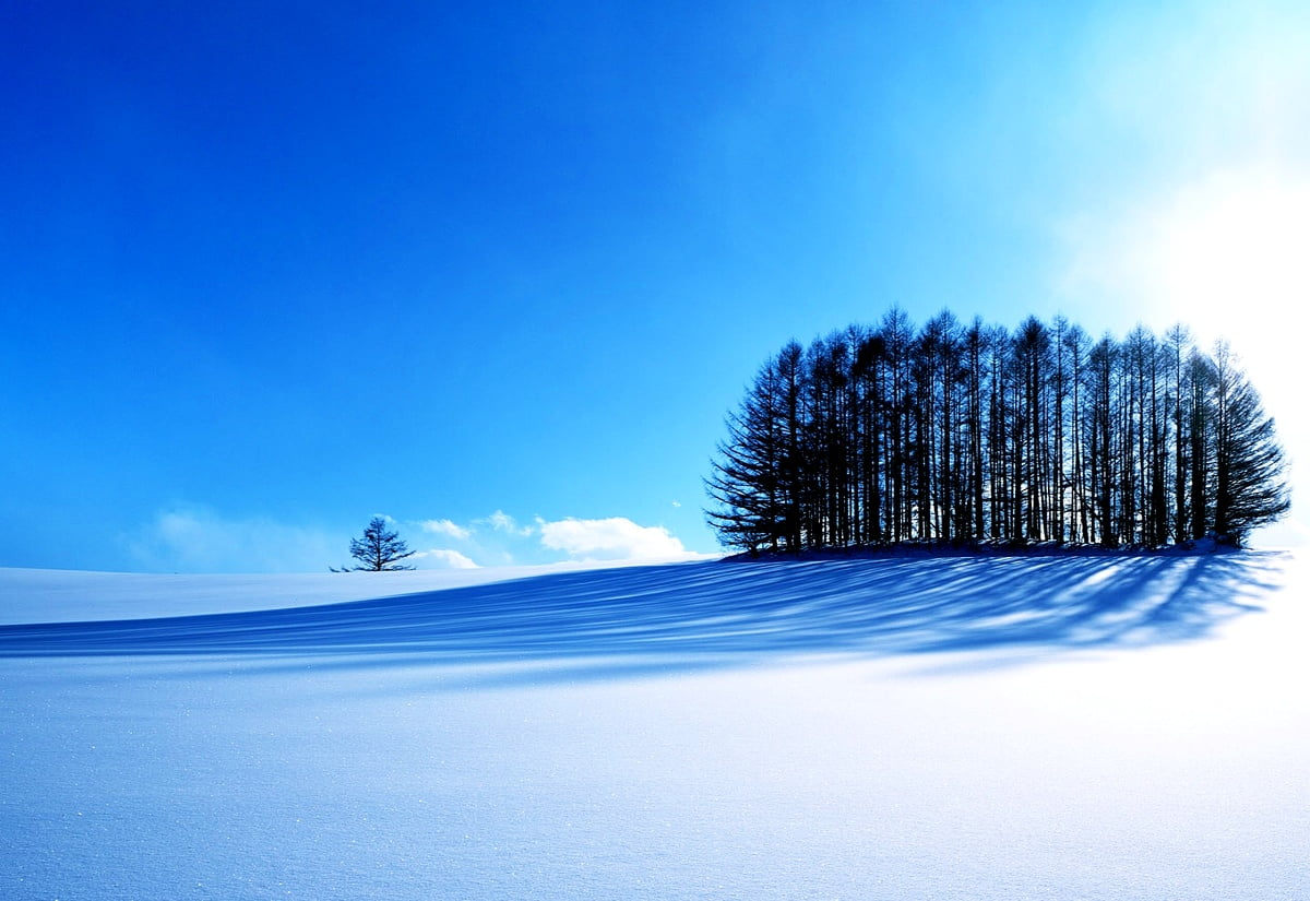 Cute Snow Wallpapers