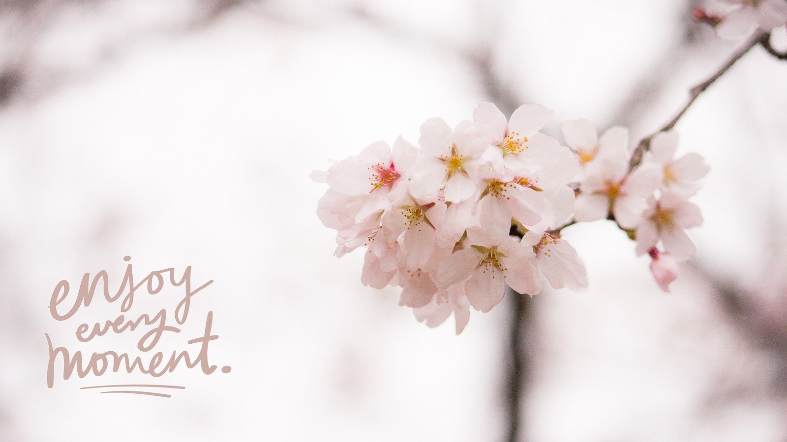 Cute Spring Screensavers Wallpapers