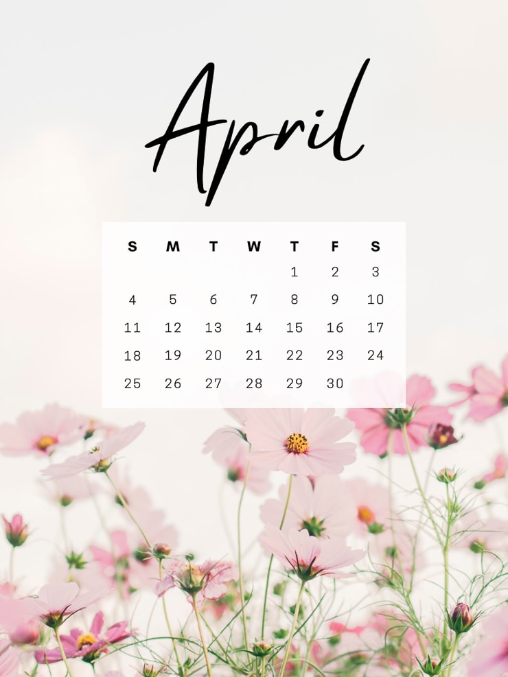 Cute Spring Wallpapers