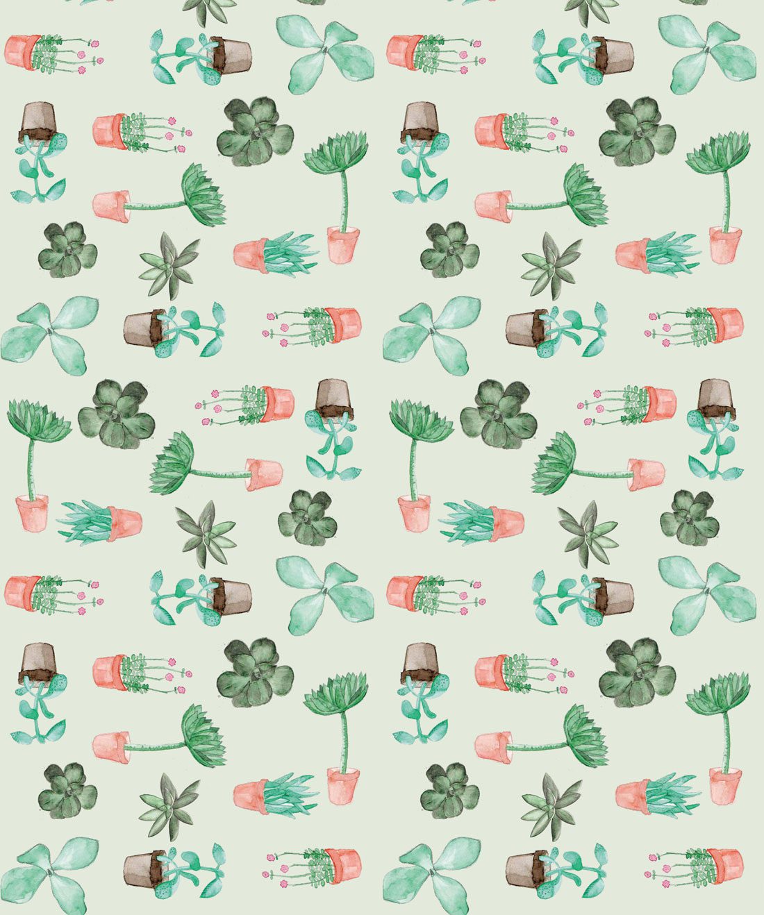 Cute Succulent Wallpapers