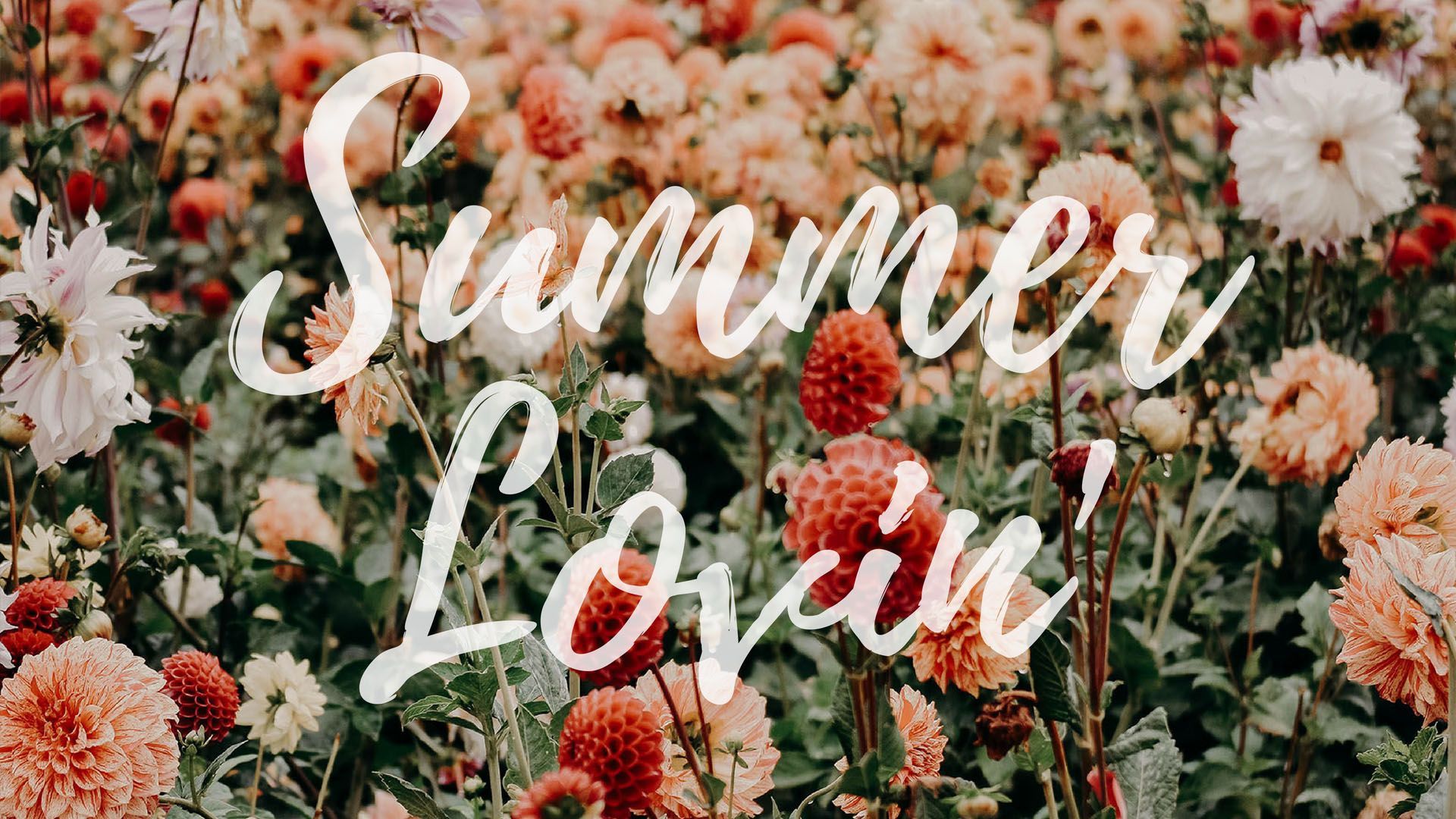 Cute Summer For Laptop Wallpapers