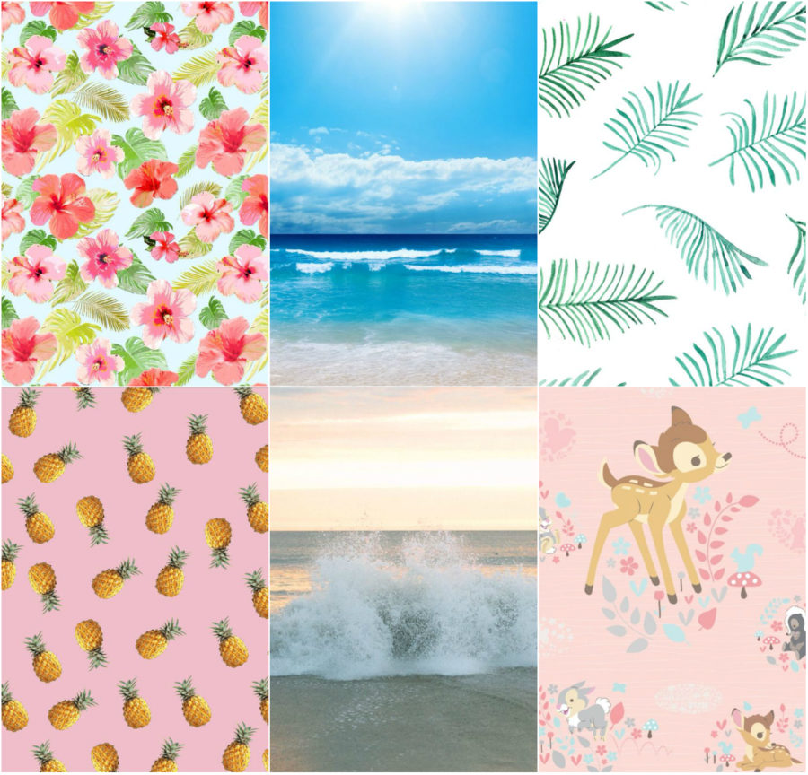 Cute Summer Phone Wallpapers