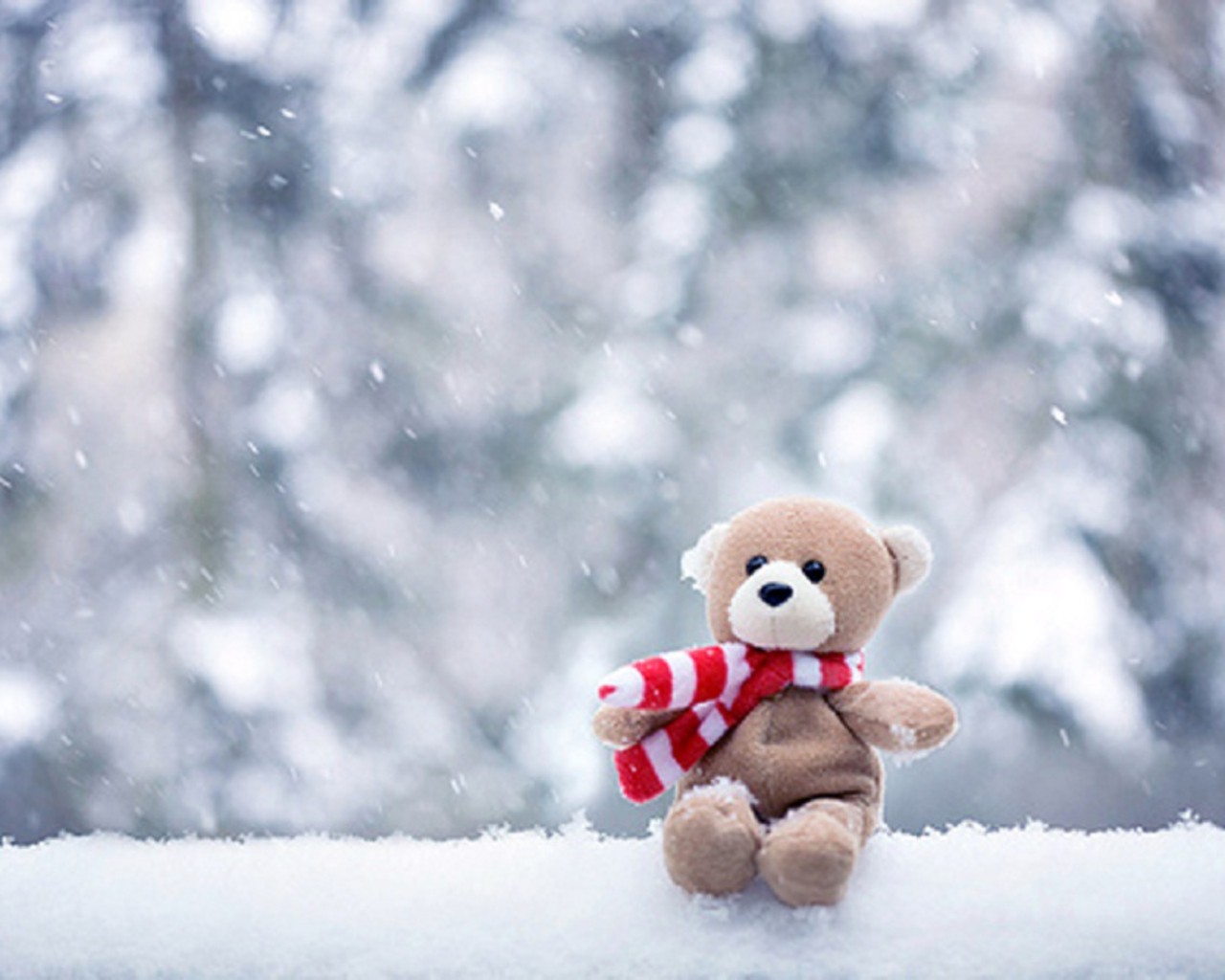 Cute Teddy Wallpapers