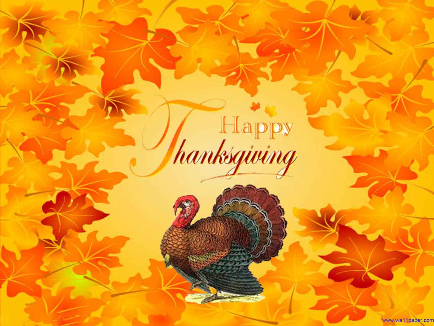 Cute Thanksgiving Turkey Wallpapers