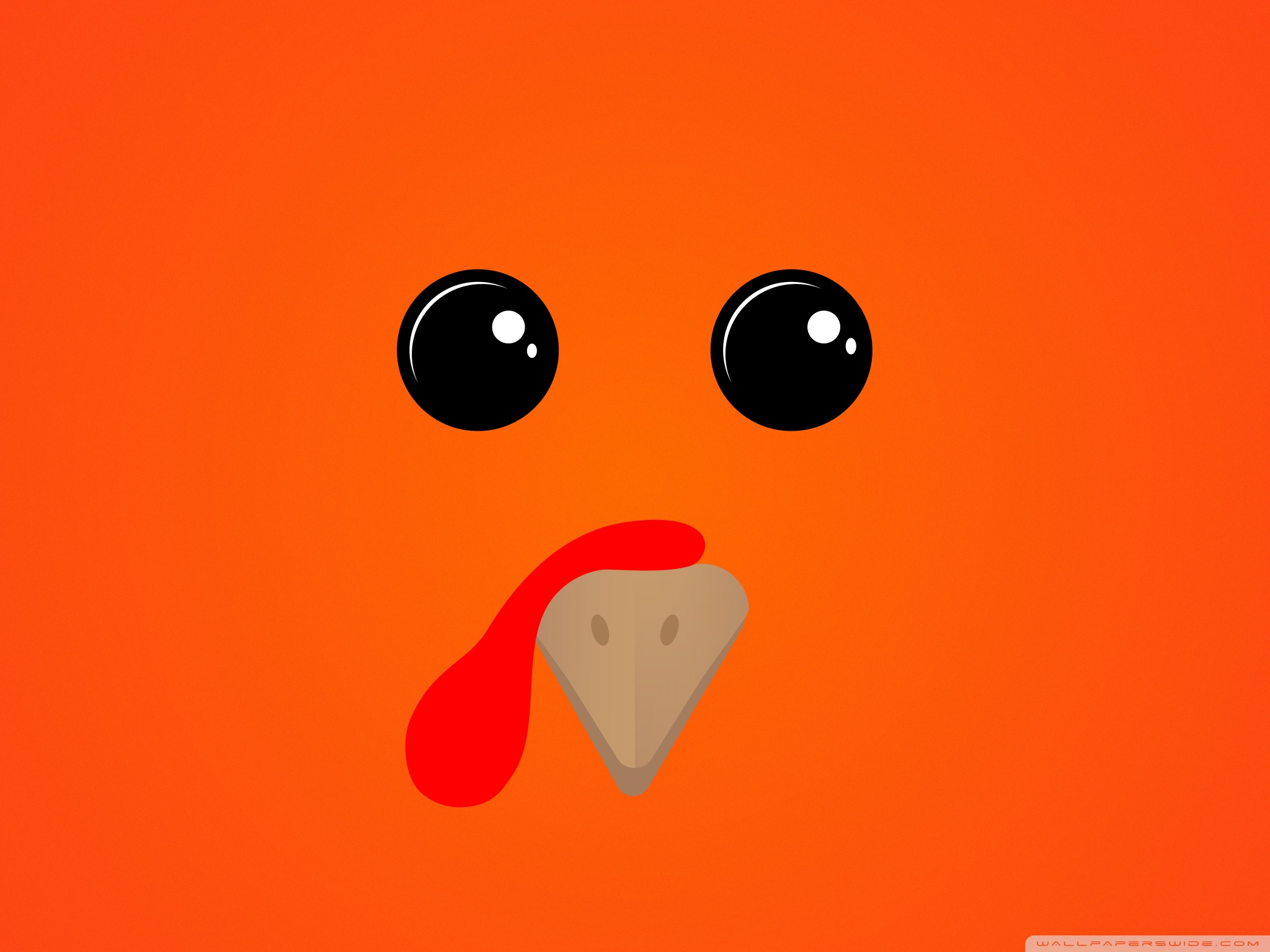 Cute Thanksgiving Turkey Wallpapers