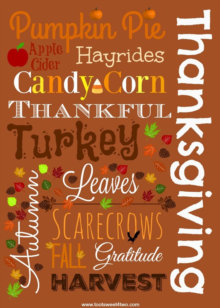 Cute Thanksgiving Turkey Wallpapers