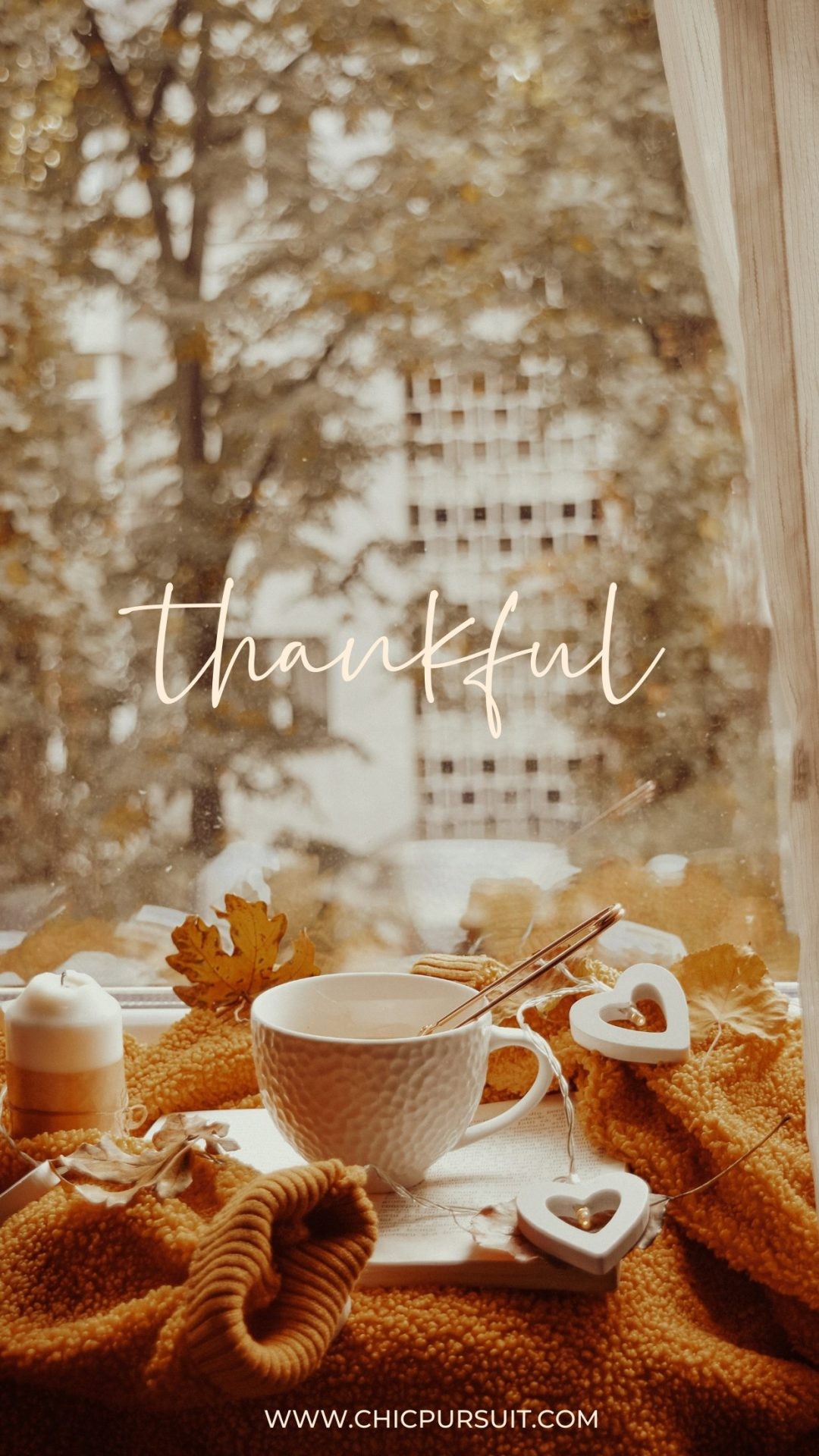 Cute Thanksgiving Wallpapers