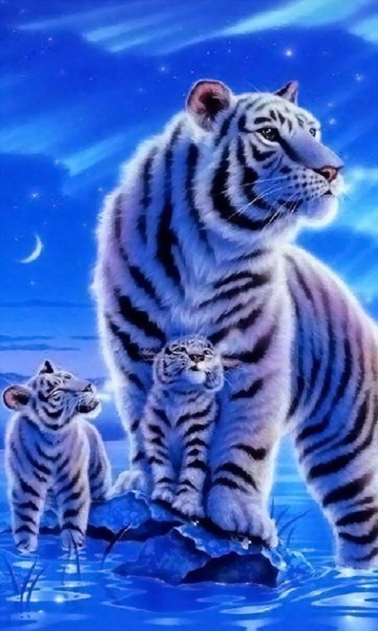 Cute Tigers Wallpapers Wallpapers