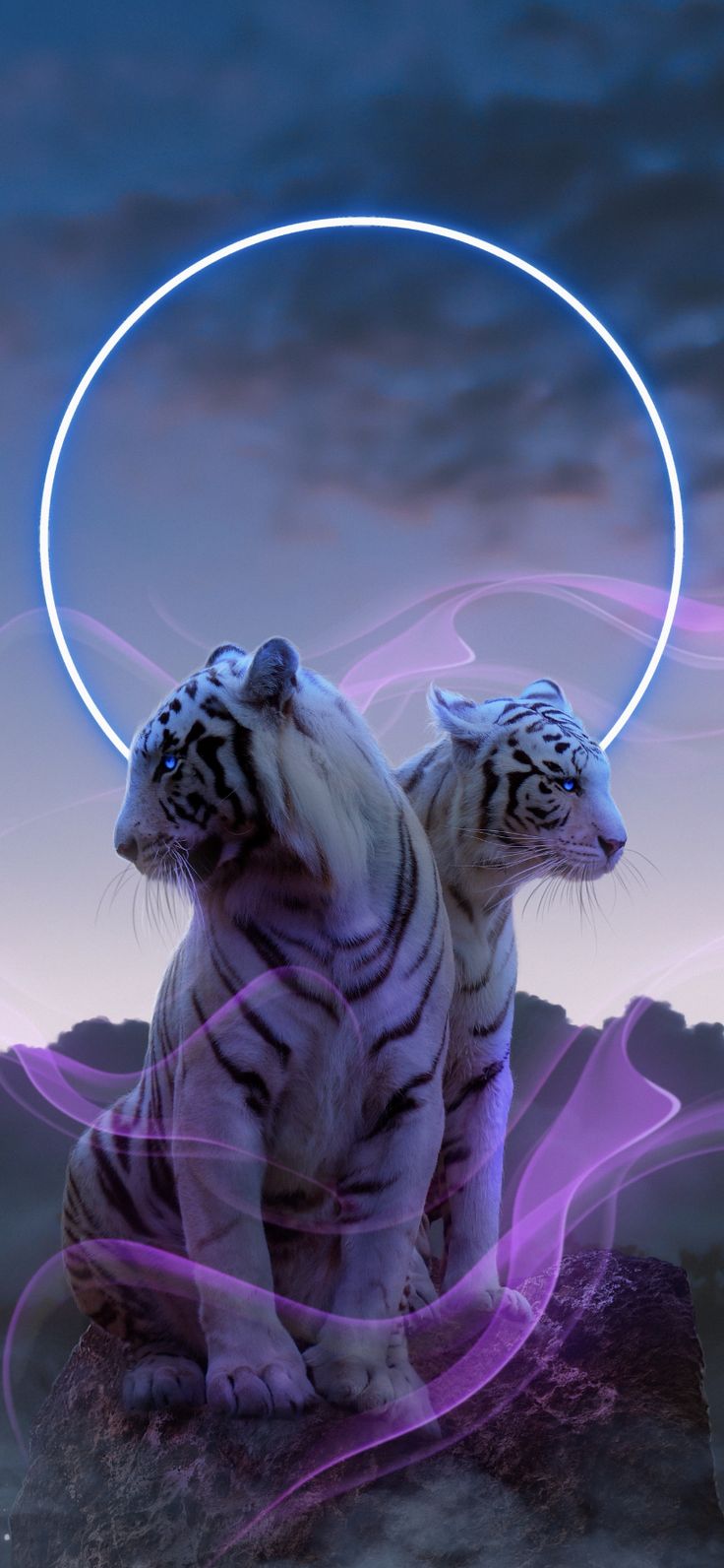 Cute Tigers Wallpapers Wallpapers