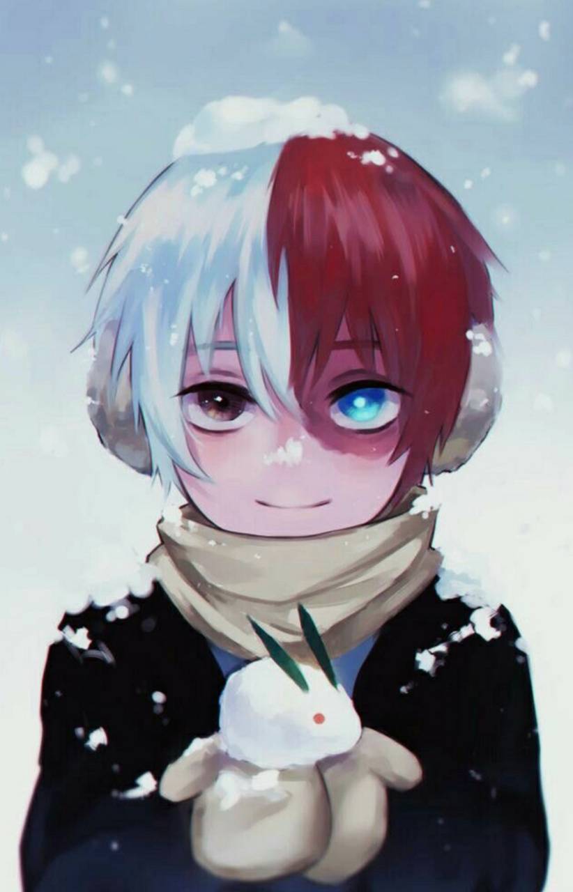 Cute Todoroki Wallpapers Wallpapers