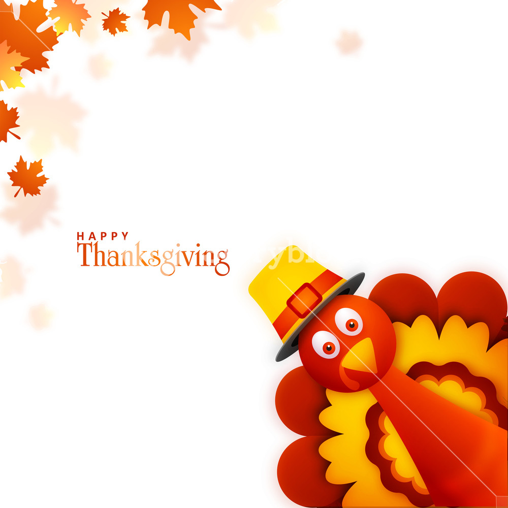 Cute Turkey Wallpapers