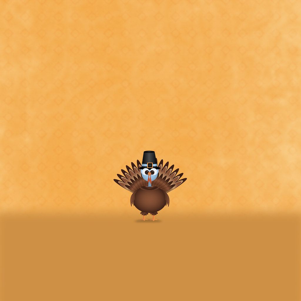 Cute Turkey Wallpapers