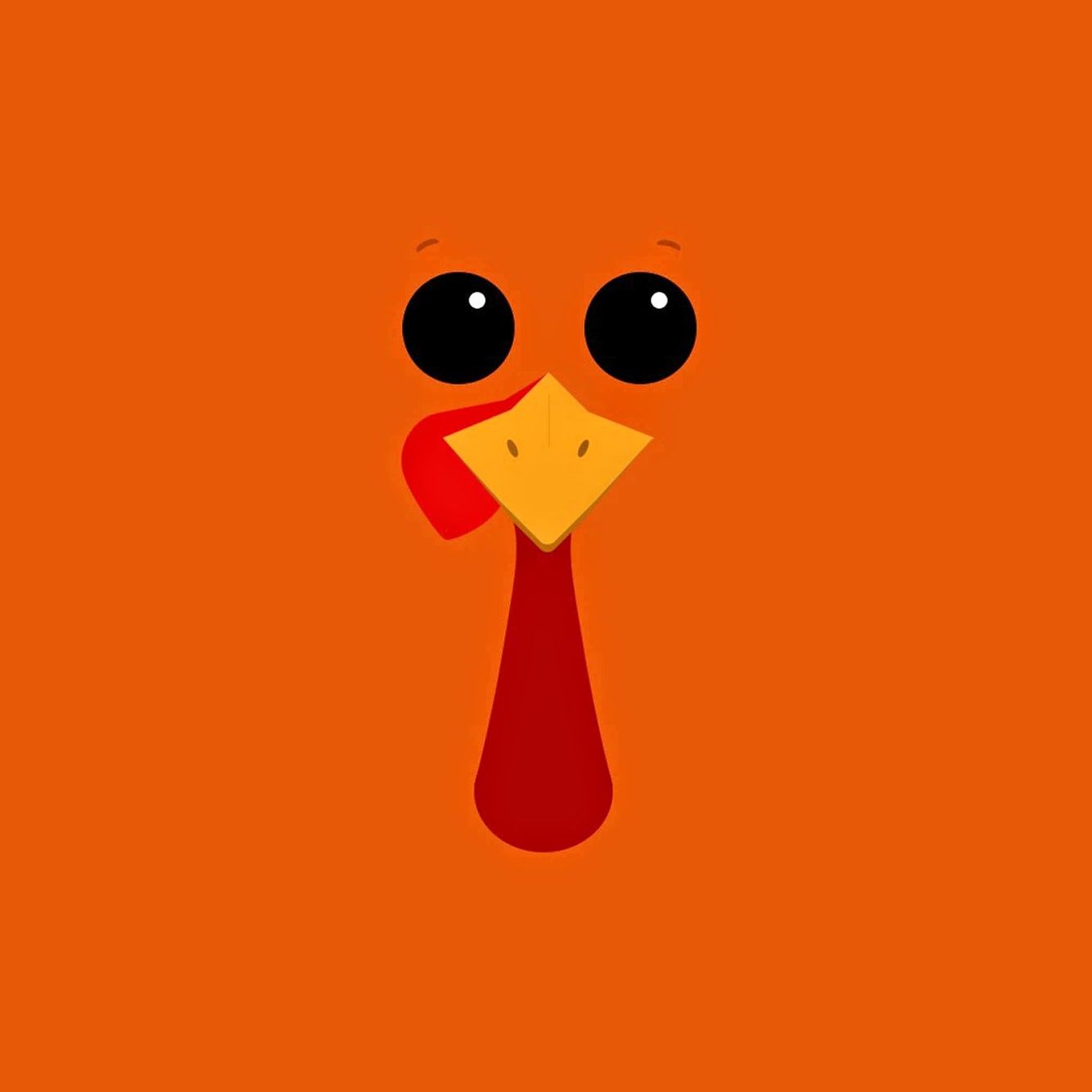 Cute Turkey Wallpapers