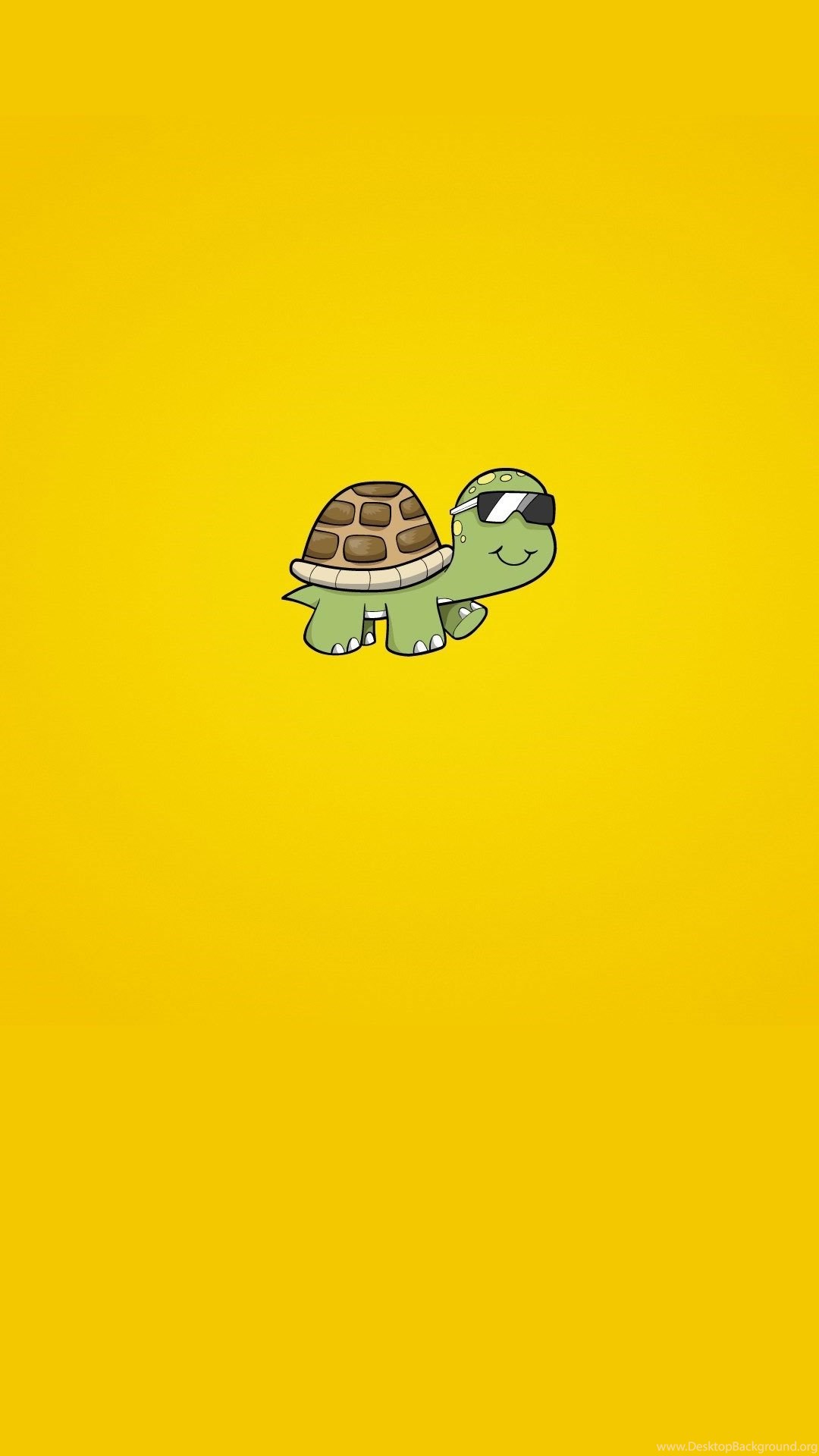 Cute Turtle Wallpapers