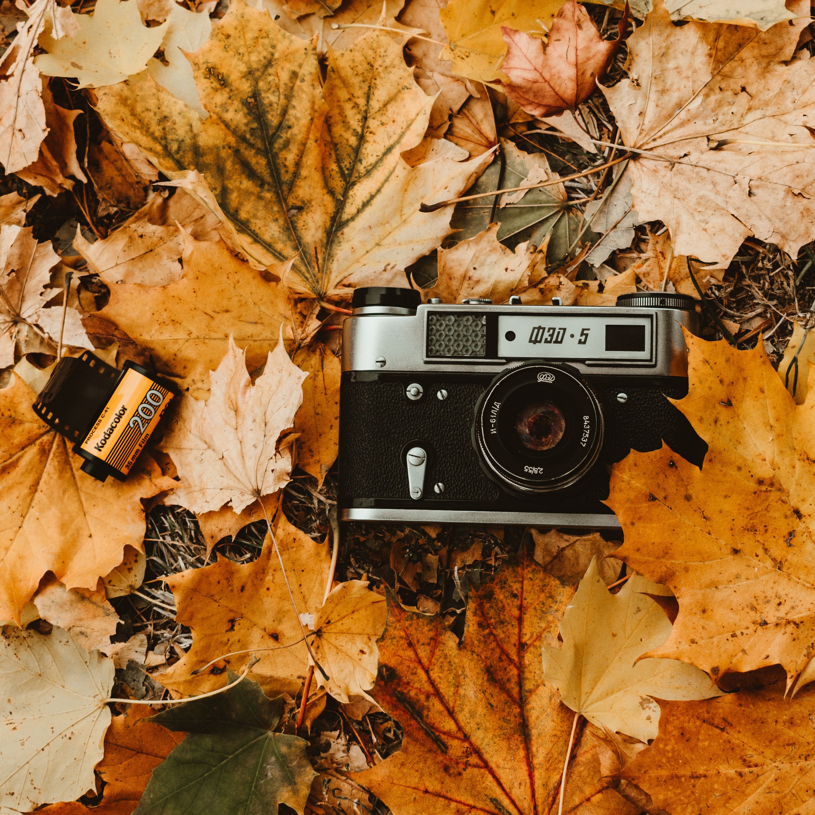 Cute Vintage Fall Wallpapers