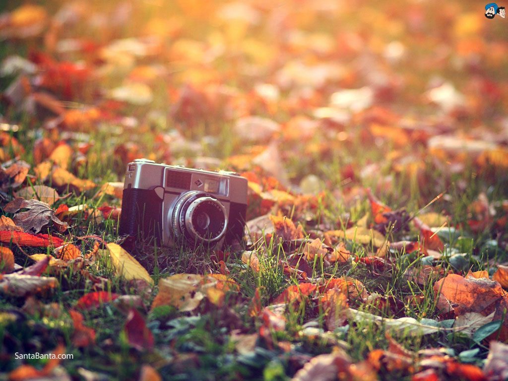 Cute Vintage Fall Wallpapers