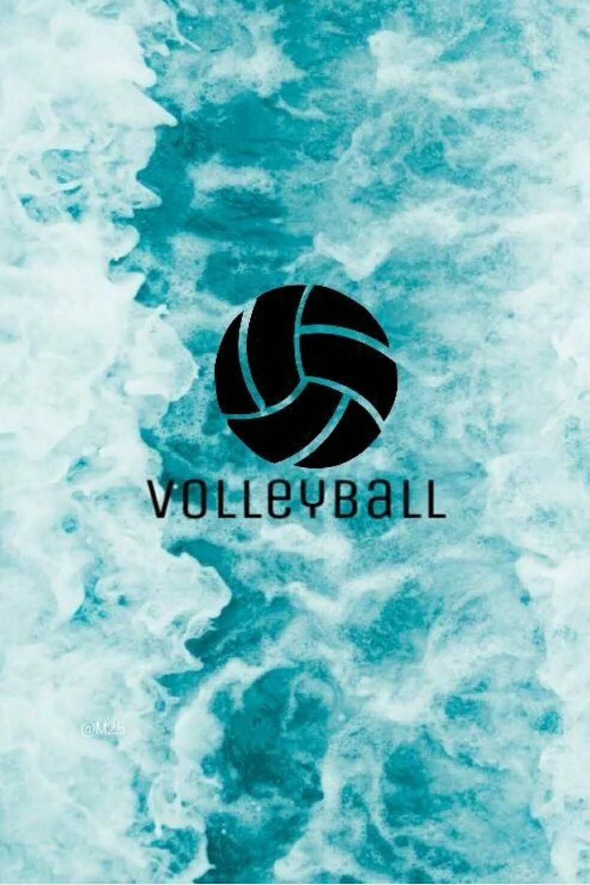 Cute Volleyball Desktop Wallpapers Wallpapers