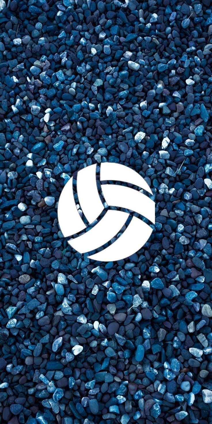 Cute Volleyball Desktop Wallpapers Wallpapers