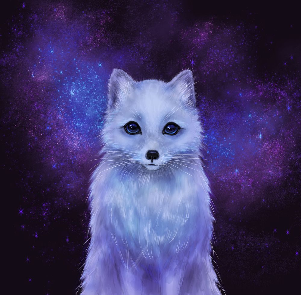 Cute White Fox Wallpapers